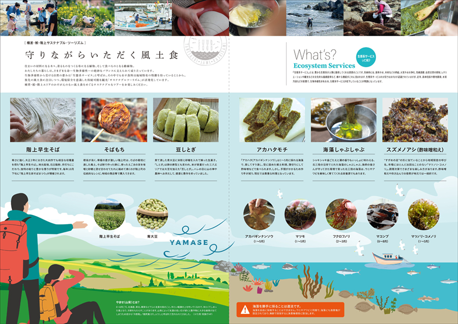 種差海岸インフォメーションチャンネル TANECHAN 2024 ANNUAL ISSUE