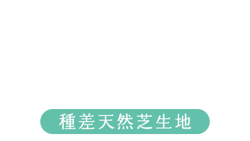種差天然芝生地