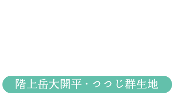 階上岳大開平・つつじ群生地