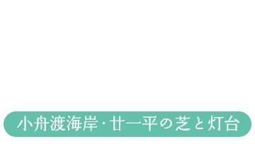 小舟渡海岸・廿一平の芝と灯台