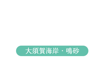 大須賀海岸・鳴砂