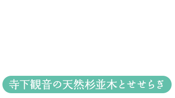 寺下観音の天然杉並木とせせらぎ