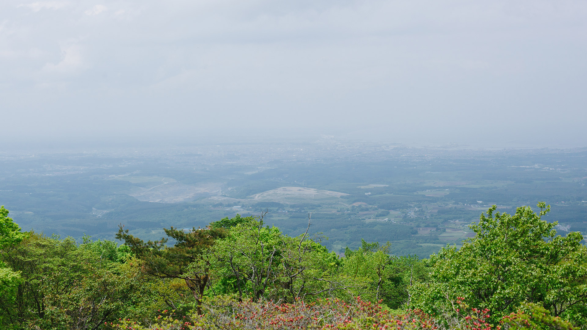 階上岳山頂