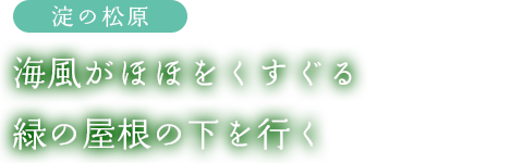 淀の松原：海風がほほをくすぐる緑の屋根の下を行く