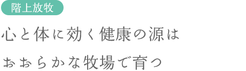 心と体に効く健康の源はおおらかな牧場で育つ