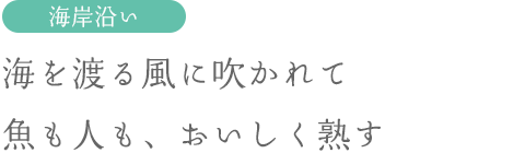 海を渡る風に吹かれて魚も人も、おいしく熟す