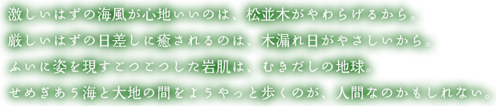 激しいはずの海風が心地いいのは、松並木がやわらげるから。厳しいはずの日差しに癒されるのは、木漏れ日がやさしいから。ふいに姿を現すごつごつした岩肌は、むきだしの地球。せめぎあう海と大地の間をようやっと歩くのが、人間なのかもしれない。