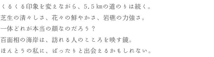 くるくる印象を変えながら、5.5㎞の道のりは続く。芝生の清々しさ、花々の鮮やかさ、岩礁の力強さ。一体どれが本当の顔なのだろう？　百面相の海岸は、訪れる人のこころを映す鏡。ほんとうの私に、ばったりと出会えるかもしれない。