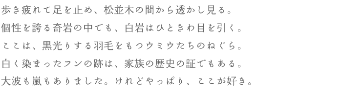 歩き疲れて足を止め、松並木の間から透かし見る。個性を誇る奇岩の中でも、白岩はひときわ目を引く。ここは、黒光りする羽毛をもつウミウたちのねぐら。白く染まったフンの跡は、家族の歴史の証でもある。大波も嵐もありました。けれどやっぱり、ここが好き。